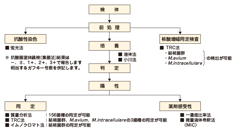 抗酸菌検査フローチャート