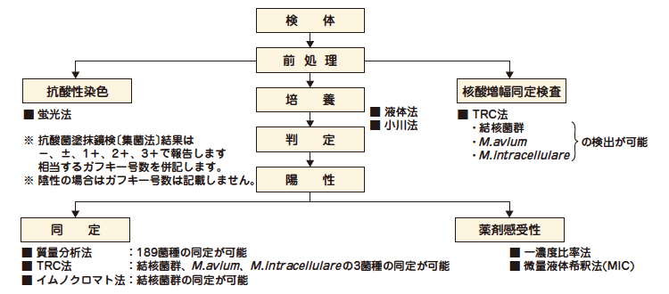 抗酸菌検査フローチャート