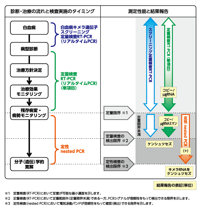 診断・治療の流れと検査実施のタイミング／測定性能と結果報告