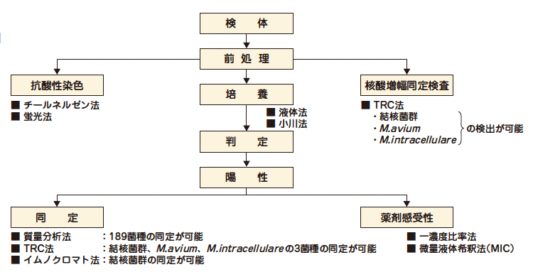 抗酸菌検査フローチャート